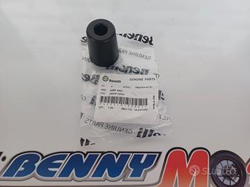 TERMINALE MANOPOLA BENELLI