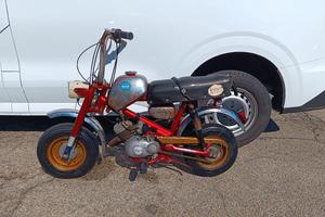 Benelli mini bike 50 con libretto a soli €350