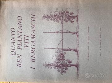 QUANTO BEN PIANTANO VITI I BERGAMASCHI