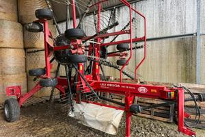 Ranghinatore Lely Hibiscus 745 CD Vario