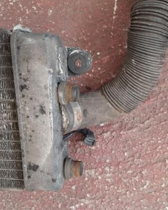 Radiatore Honda VT 600 Shadow