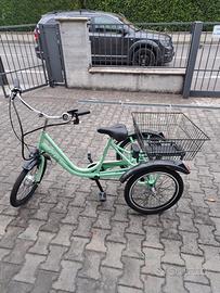 Bicicletta elettrica