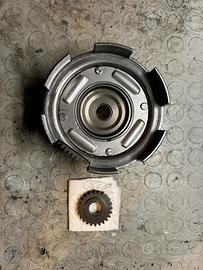 Rapporti vespa 24/72