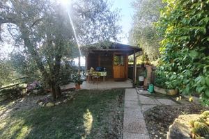 Terreno con ulivi e annesso 20mq