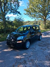 Fiat Panda Pandina 1.0 FireFly 65 CV Hybrid Icon 5