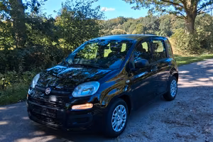 Fiat Panda Pandina 1.0 FireFly 65 CV Hybrid Icon 5