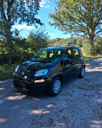 Fiat Panda Pandina 1.0 FireFly 65 CV Hybrid Icon 5