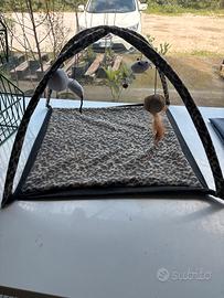 Palestrina per gatti