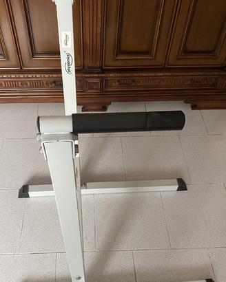 Physionics® Stazione Dip - Carico Massimo 120 kg