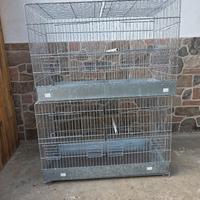 gabbie per pappagalli, uccelli, gabbia 55cm