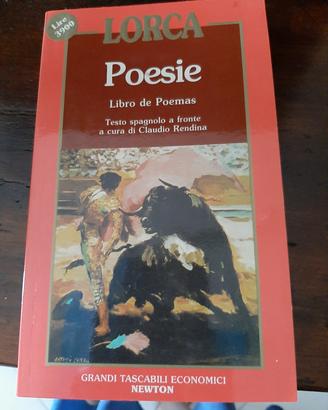Poesie. libro de poemas. federico garcia lorca
