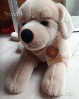 Peluche cane marca sul collare: Plush & Company