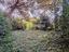 Immagine 20