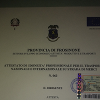 Gestore dei trasporti merci conto terzi (preposto)