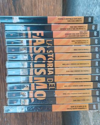 DVD Ray Trade