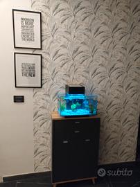 acquario fluval edge 23lt