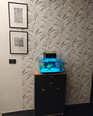 acquario fluval edge 23lt