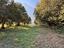 Immagine 10