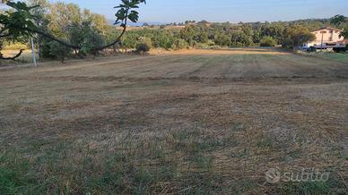Terreno a Montalto Uffugo