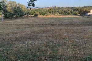 Terreno a Montalto Uffugo