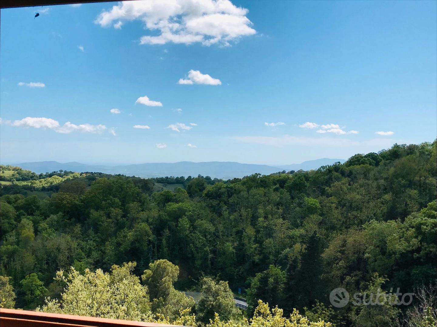 Appartamento – Scansano, Pomonte - Vista 2