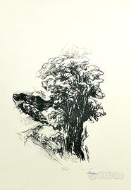 coppia di stampe numerate Sandra Tenconi