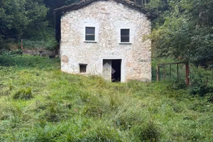 TERRENO A LOSINE