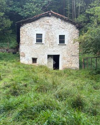 TERRENO A LOSINE
