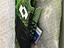 Immagine 2