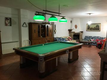 Biliardo orsi del 1905 regolamentare