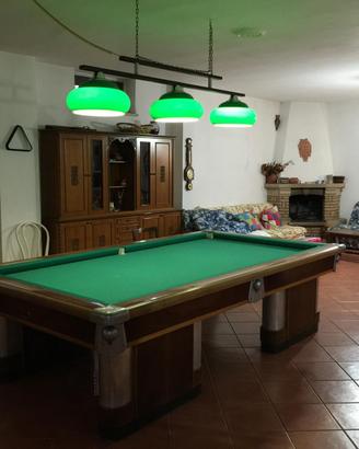 Biliardo orsi del 1905 regolamentare