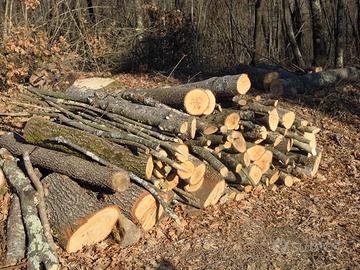 legna da ardere da tagliare 