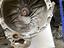 Immagine 3
