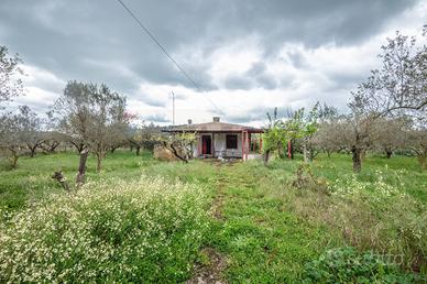 Casa Indipendente - Caltagirone