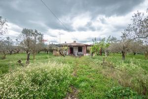 Casa Indipendente - Caltagirone