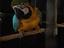 Immagine 5