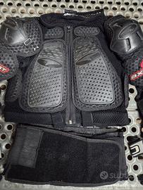 Pettorina axo taglia L