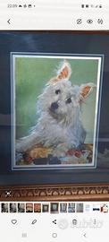 quadro dipinto cane maltese 
