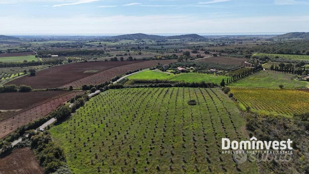 Terreno di 116000 m² a Capalbio - Vista 2