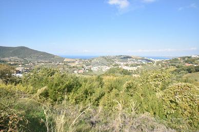 TER. AGRICOLO A AGROPOLI