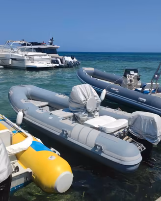 gommone Marshall s70 40 cv