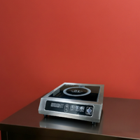 Piastra a induzione 3500 Watt NUOVA