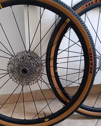 Ruote Mavic
