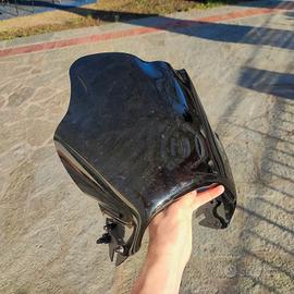 Cupolino Ducati Monster