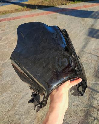 Cupolino Ducati Monster