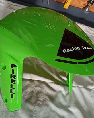 carene e componenti Kawasaki ZX10r  2009