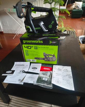 Motosega Greenworks potatura 40v lama 25 cm