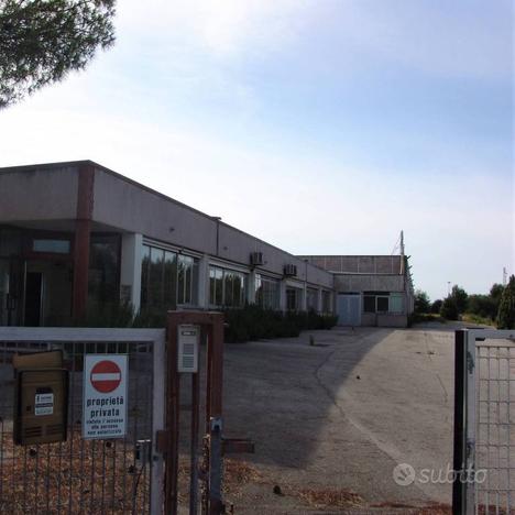 Capannone a Numana (AN) in Zona Industriale C.I.A.