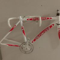Telaio bici corsa Specialized
