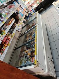 Banco surgelati